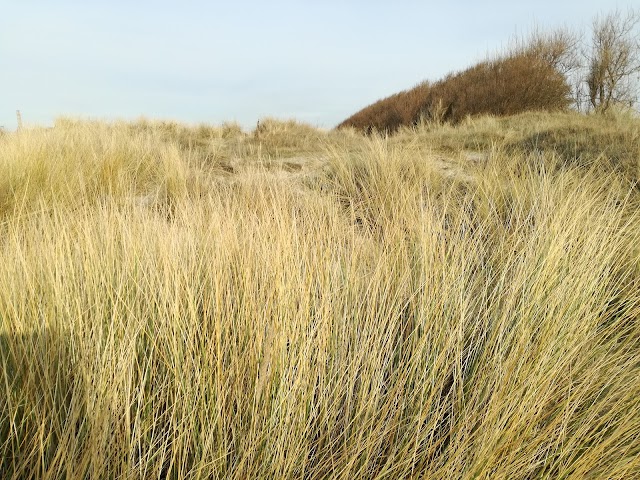 Plage de Malo-les-Bains