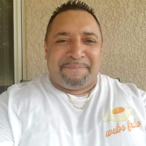 Webofrito - Visual