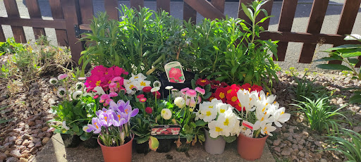 Glenside Nurseries Ltd - Thumbnail