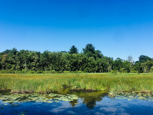 Litchfield Community Greenway Trailhead on South Lake Street Gallery - United States