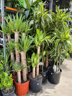 Saifee Hardware & Garden by null