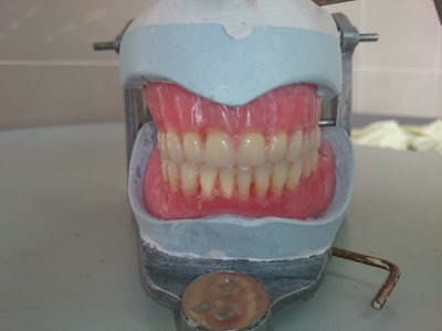 Photos of School of Dentistry, Shiraz University of Medical Sciences