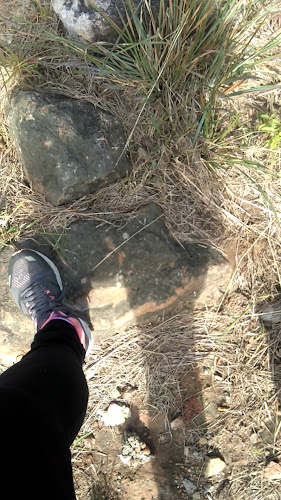 Teléfono de Cristo Redentor Salto