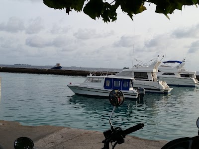 Photos of Jetty Number 3