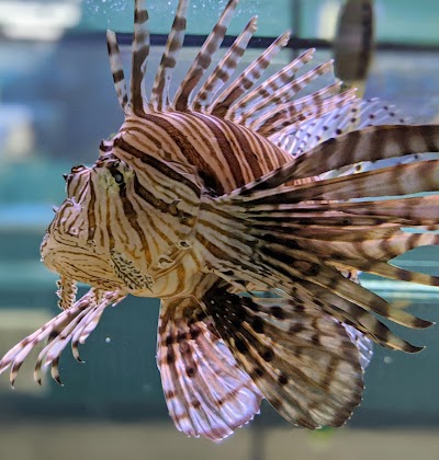 Biomes Marine Biology Center