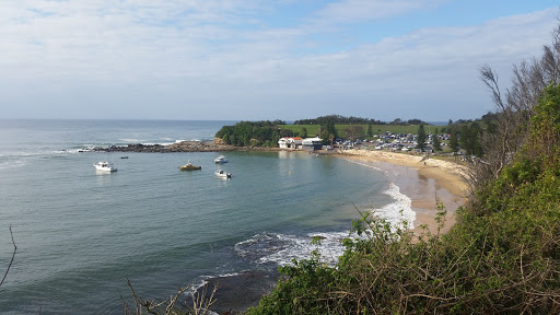 Coastline Real Estate
