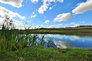 Photo n°50 de Restaurant du Golf Int. de Roissy, séminaires, réceptions, location salle Paris à Roissy-en-France (Séminaire)