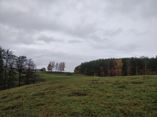 Maglehem naturreservat - Thumbnail