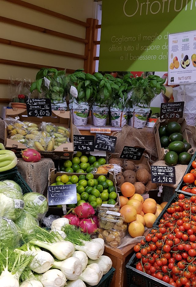 Conad City - Supermercato