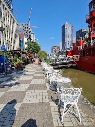De Verwoeste Stad - Ossip Zadkine - Rotterdam