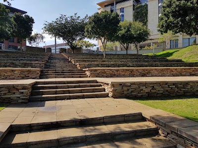 Photos of Chris Saunders Park