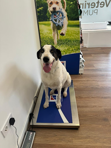 Centro Veterinario Pumba | Torremolinos