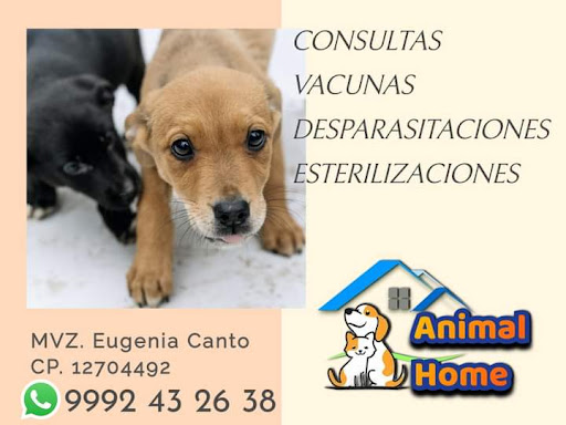 Animal Home