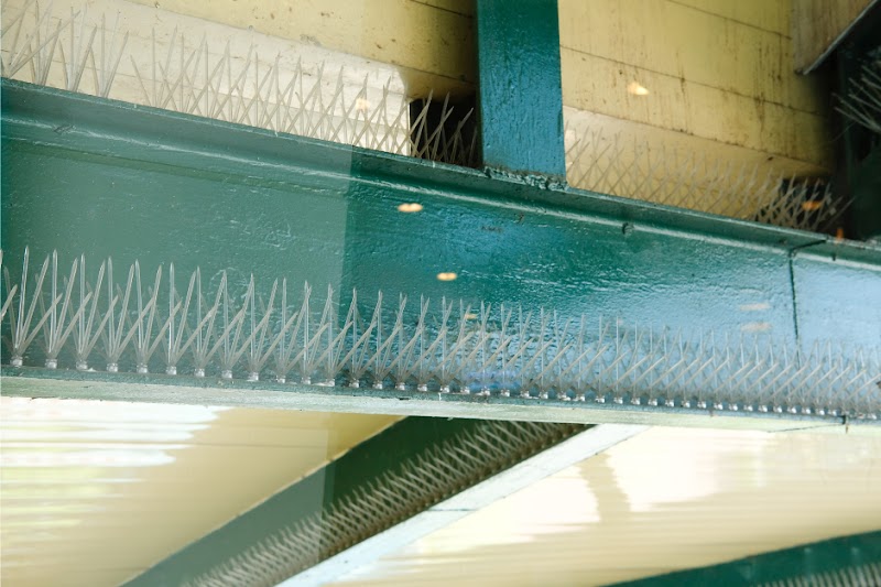 Eliminate Ltd - 24/7 Pest Control photo 2