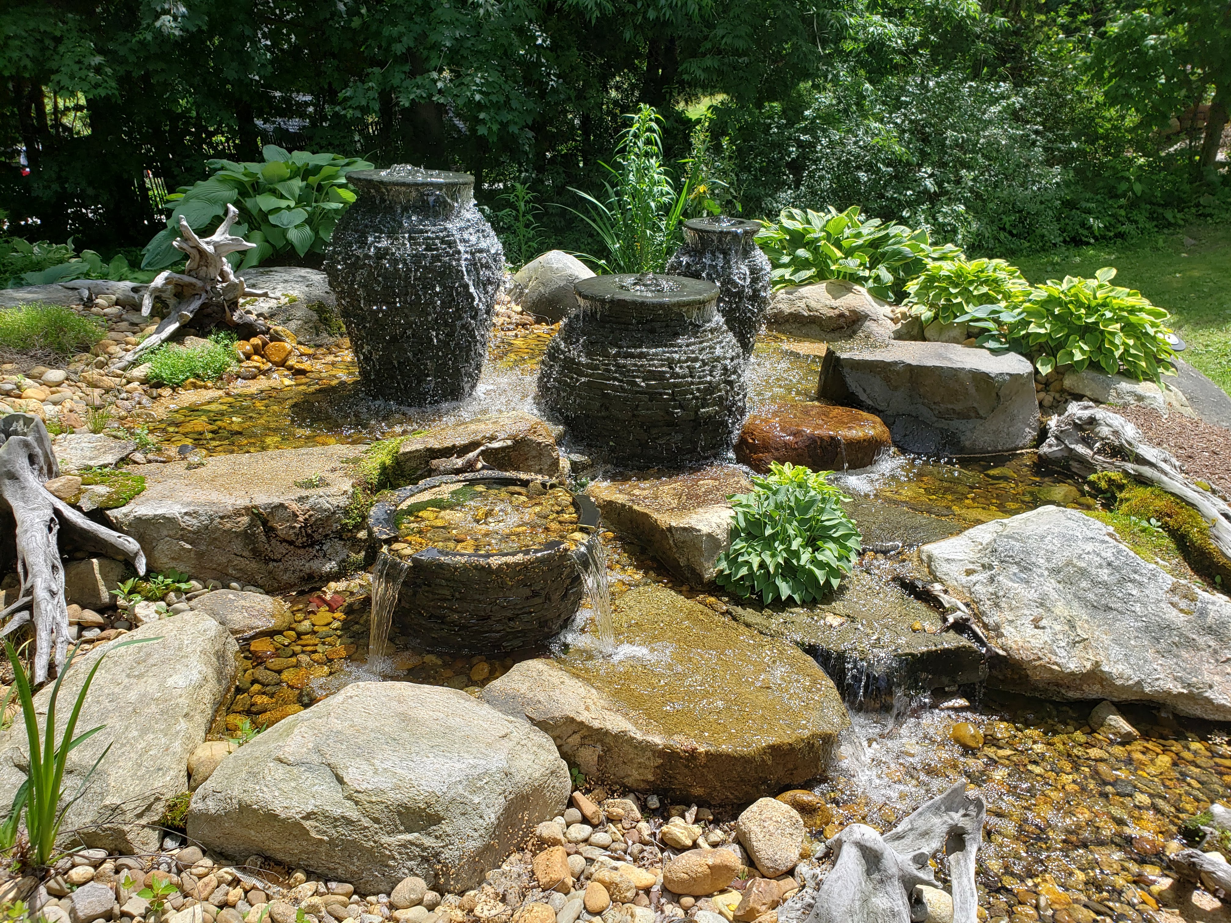 Chester Hollow Water Gardens
