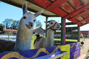 Photo n°1 de La petite ferme de Pouillon à Pouillon (Zoo)