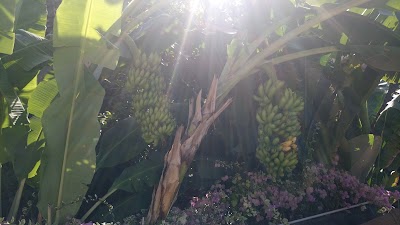 Photos of tari bed and breakfast