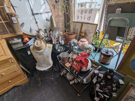 Bug & Bird Mercantile - Thumbnail