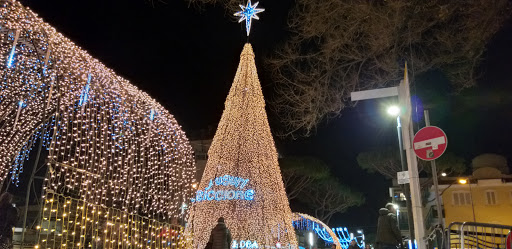Viale Ceccarini - Visual