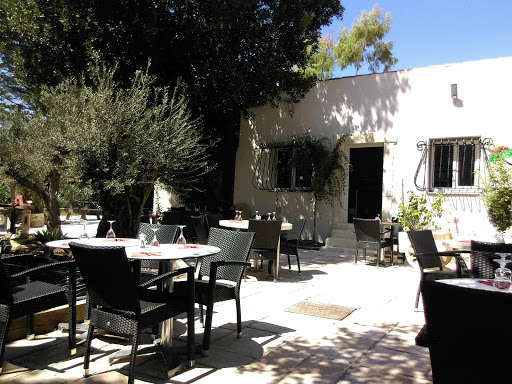 Le Jardin Des Oliviers