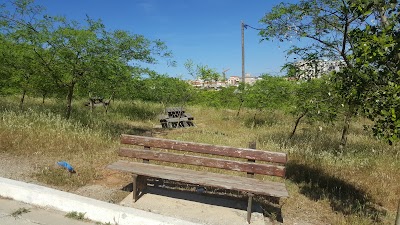 Photos of Doudou Mokhtar Garden