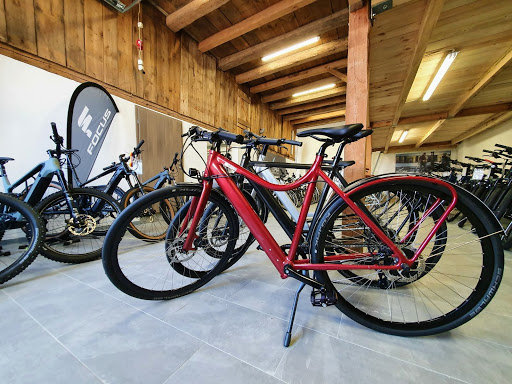 Fahrrad Heilmann - Thumbnail