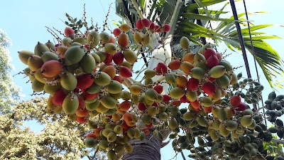 Photos of Plaza De La Paloma