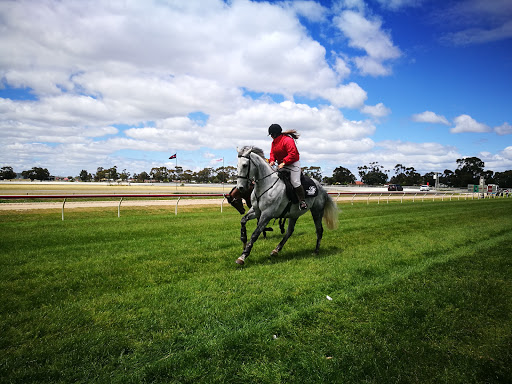 Horsham Racecourse