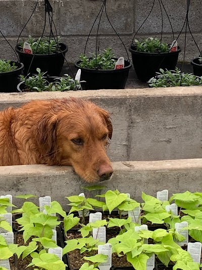 Castle Rock Nursery