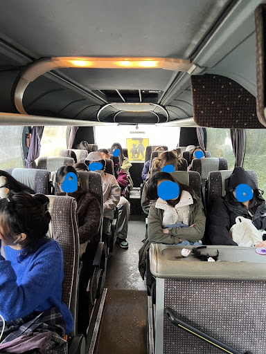 Terry's Coaches - Thumbnail