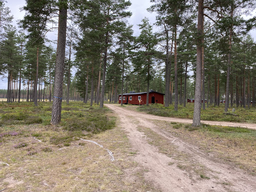 Krigsflygfält 16 - Thumbnail
