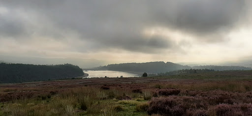 Langsett - Visual