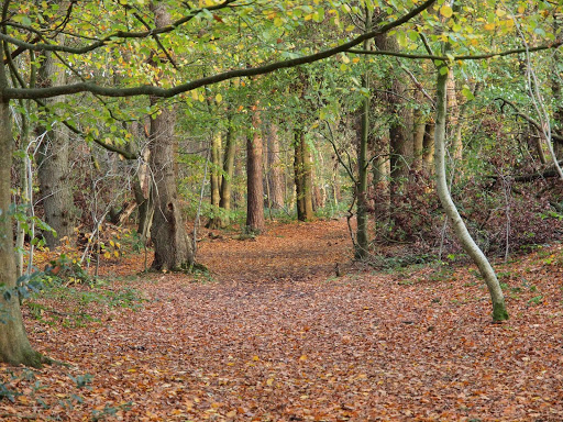 site_photo2