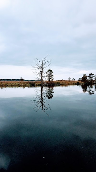 Hickory Point Natural Area