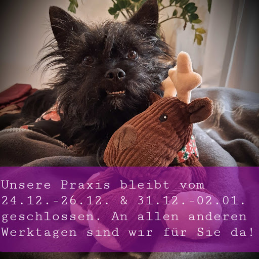 Tierarztpraxis Tempelhof - Thumbnail