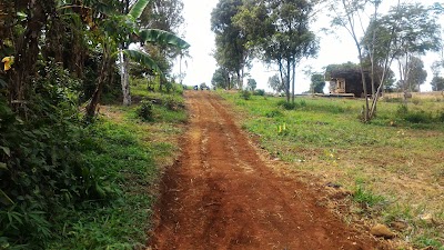 Photos of Sahejo Resort