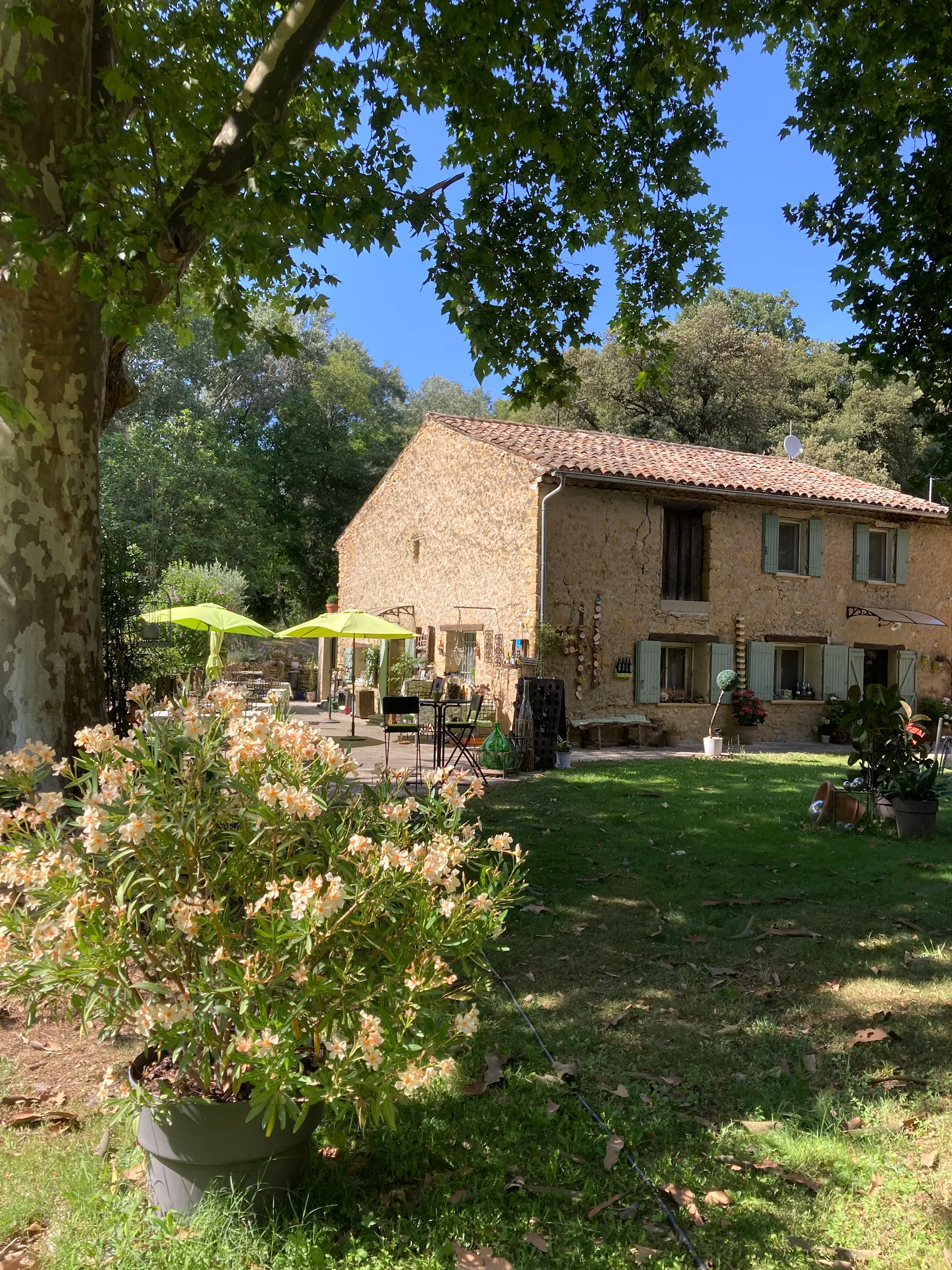Chambre d'Hôtes "Le Mas aux Arômes"