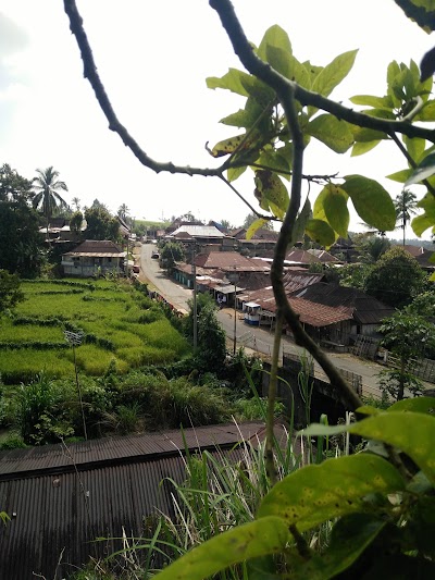 Photos of tunggu tubang semende coffee