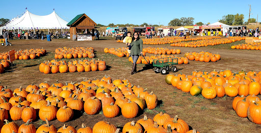 Twin Cities Maze