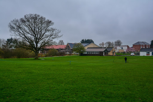 Cale Park - Visual