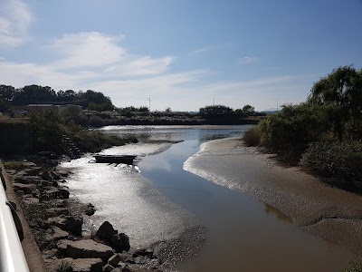 Photos of 일산황토마루한증막