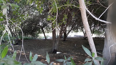 Photos of Wasit Lake and Reserve