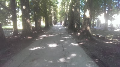 Photos of Vrelo Bosne