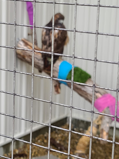 Wildlife Medical Clinic at Illinois - Thumbnail