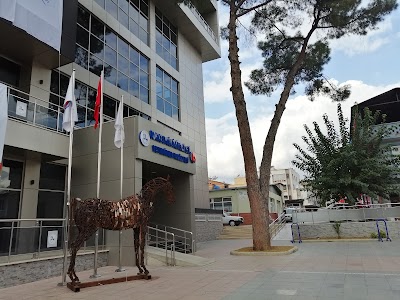 Dokuz Eylül Üniversitesi Veteriner Fakültesi