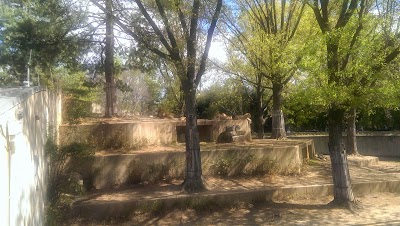 Great Cats Exhibit/Lion and Tiger Hill