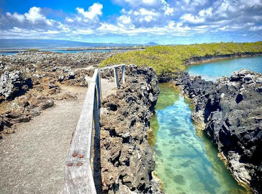Galapagos Wildlife US - Thumbnail