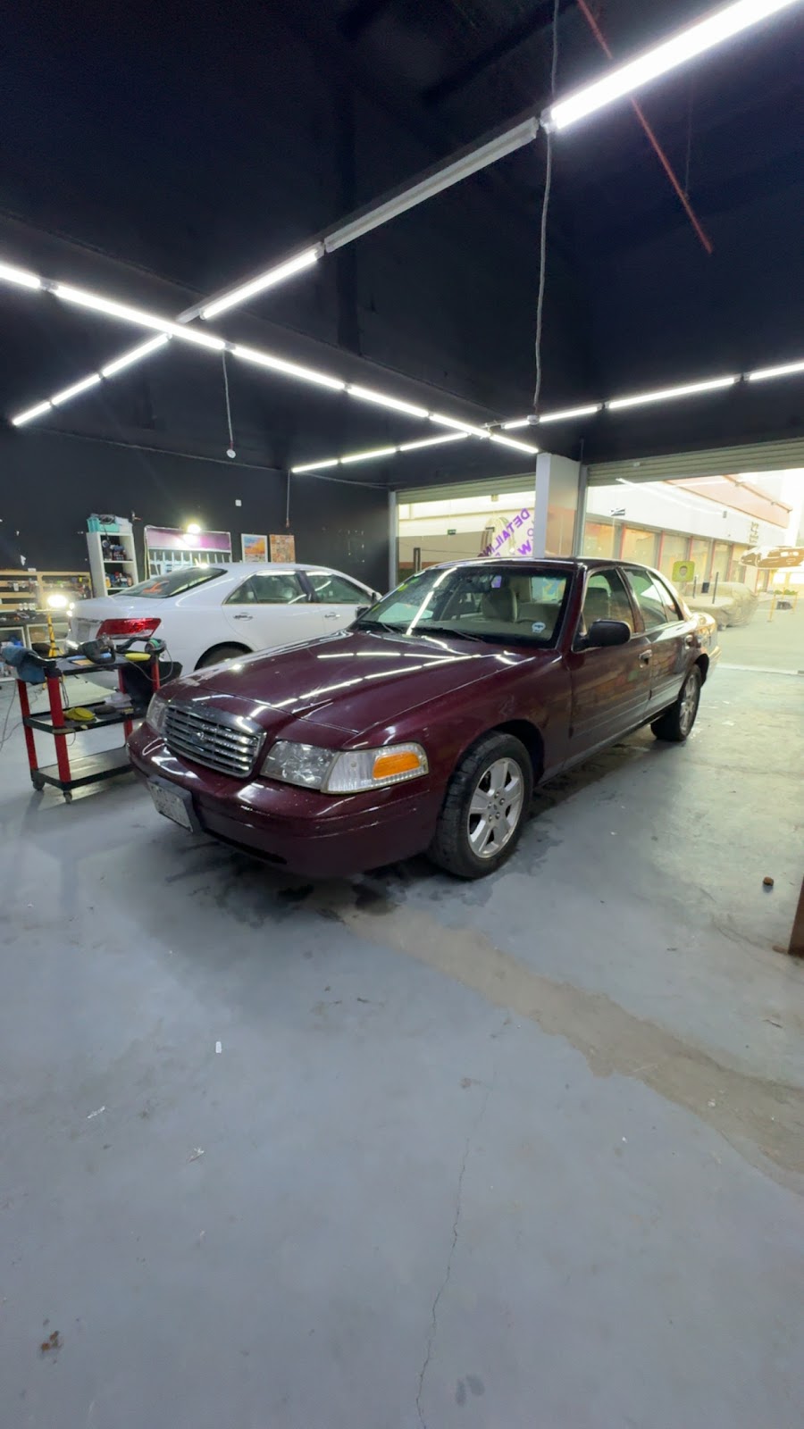 عمق اللمعة SHINY DEPTH - صورة 4