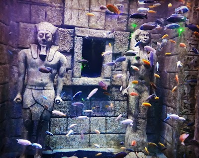 ViaSea Aquarium