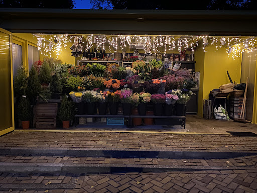 Snijder Bloemen Archipel